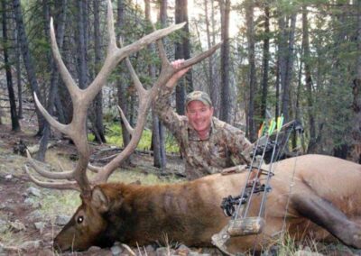 Archery Elk Hunts