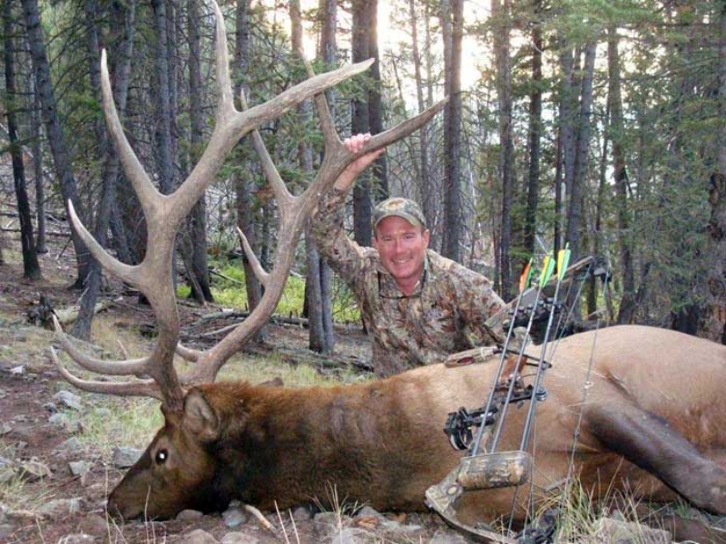 Archery Elk Hunts