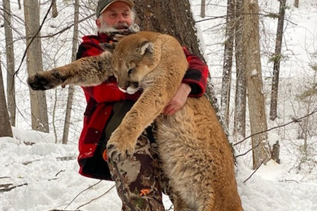 homepage-lion-featured