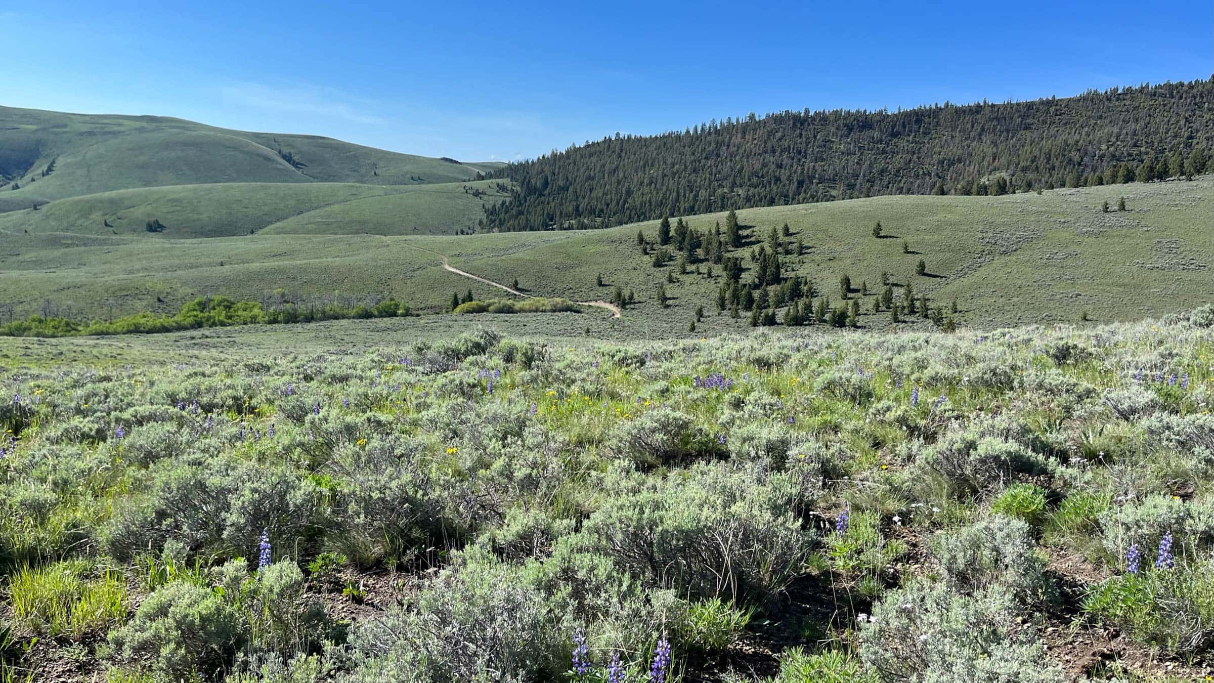 Sunset over the Idaho Mountains - Rawhide Outfitters Hunting