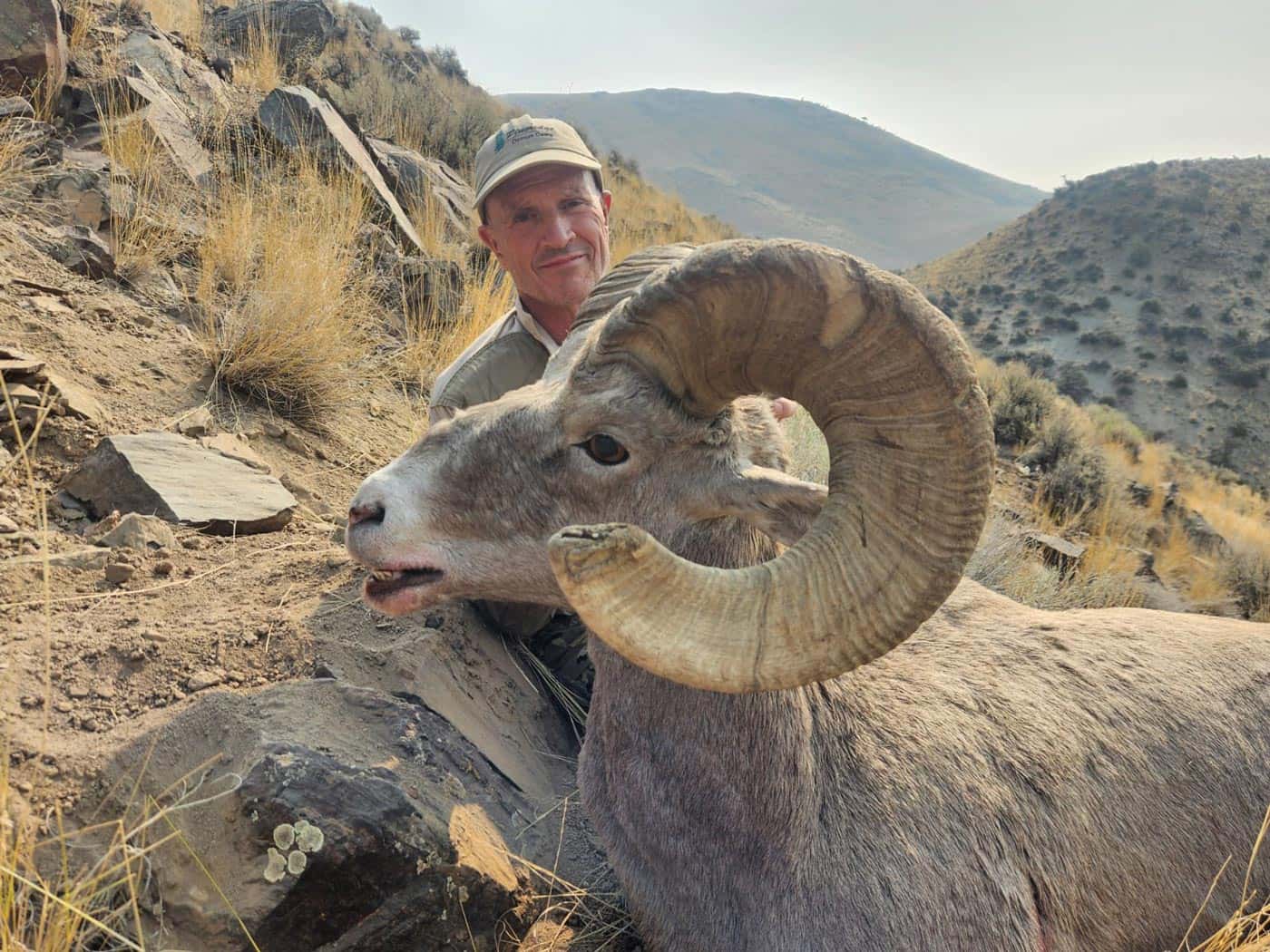 idaho-guided-big-horn-sheep-hunt