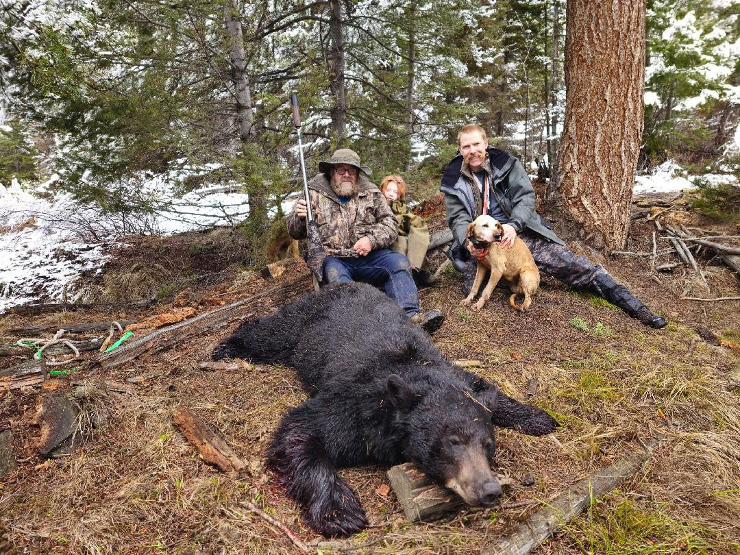 Hunting Bears with Rawhide Outfitters
