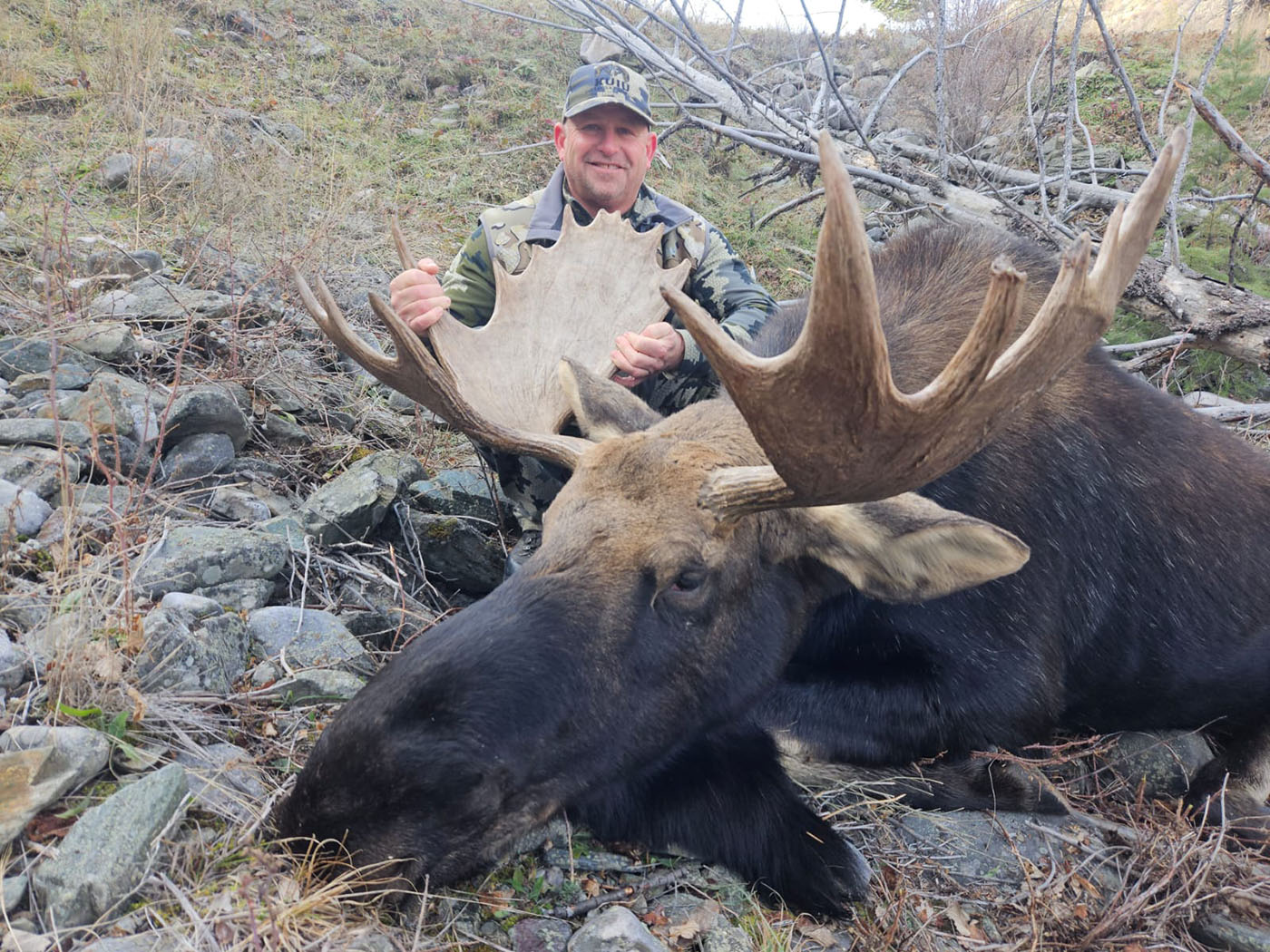 Moose - Rawhide Hunting