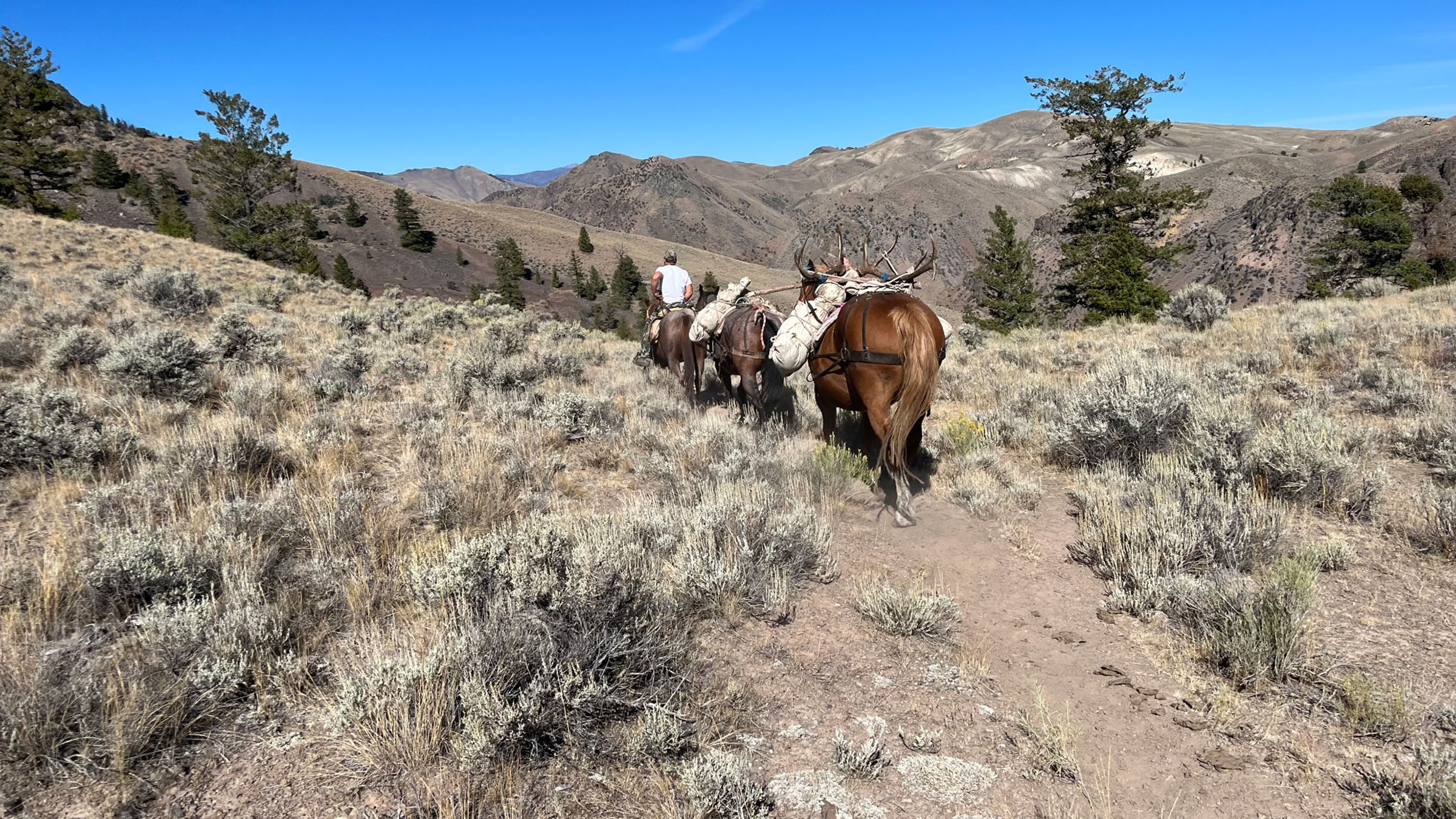 Scenery Pack String Sunset over the Idaho Mountains - Rawhide Outfitters Hunting
